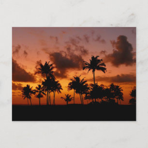 Carte Postale Palmiers au coucher du soleil - rouge
