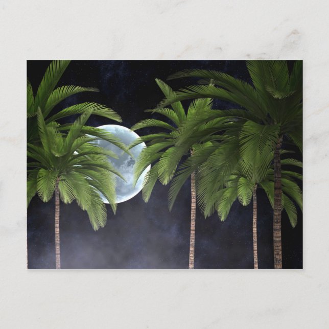 Carte Postale Palmiers contre la lune (Devant)