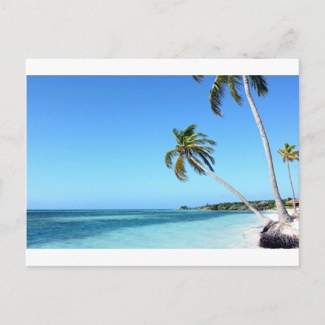 Carte Postale Palmiers dans la mer (Devant)