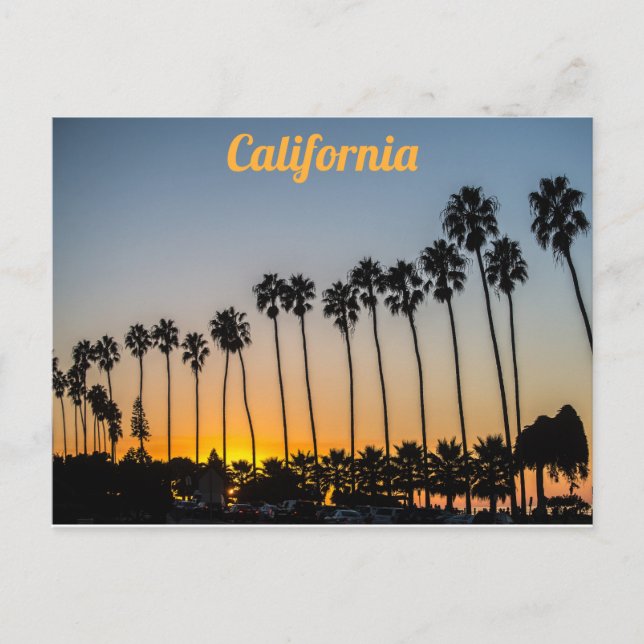 Carte Postale Palmiers de Californie sur la plage au coucher du  (Devant)