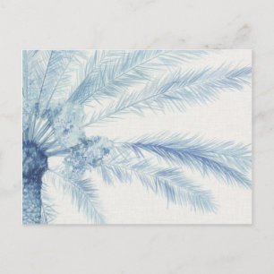 Carte Postale Palmiers de Chambray II