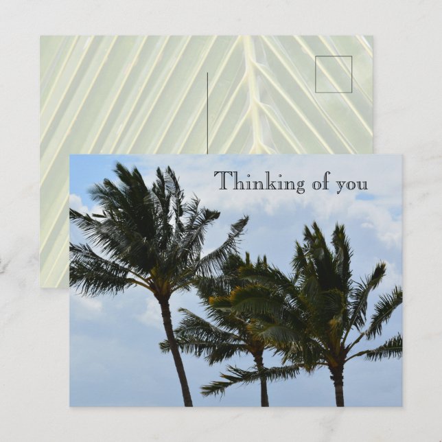 Carte Postale Palmiers de Kauai Hawaii (Devant / Derrière)