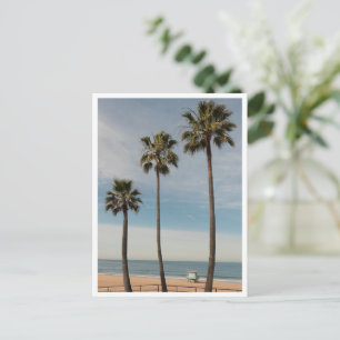 Carte Postale Palmiers de la plage et tour de surveillance Los A