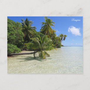 Carte Postale Palmiers de Rangiroa