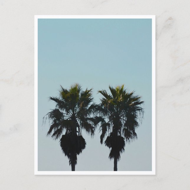 Carte Postale Palmiers d'été (Devant)