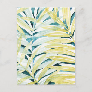 Carte Postale Palmiers éclairés - Palmiers Feuilles