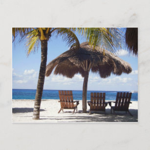 Carte Postale Palmiers et chaises Mexico Beach
