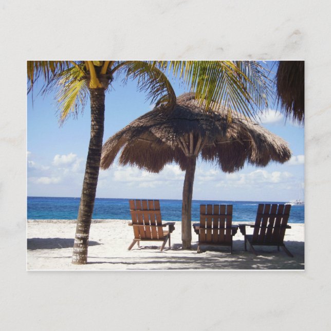 Carte Postale Palmiers et chaises Mexico Beach (Devant)