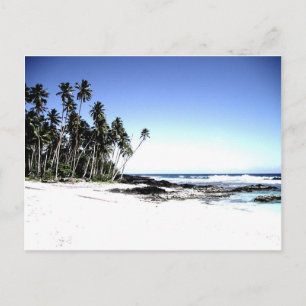 Carte Postale Palmiers exotiques & Plage Paradise