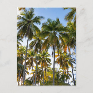 Carte Postale Palmiers Hawaiian Exotic Beach