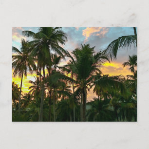 Carte Postale Palmiers Hawaiian Exotic Beach