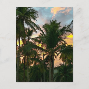 Carte Postale Palmiers Hawaiian Exotic Beach