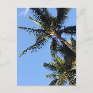 Carte Postale Palmiers Hawaiian Exotic Beach