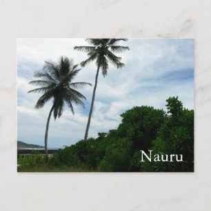 Carte Postale palmiers nauru