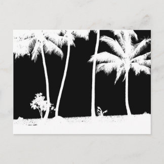 Carte Postale Palmiers noirs et blancs