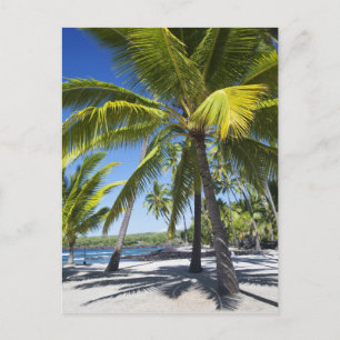 Carte Postale Palmiers, Parc Historique National Pu'uhonua o