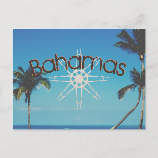 Carte Postale Palmiers Près De L'Océan (Devant)