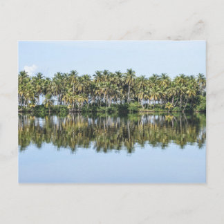 Carte Postale Palmiers reflétés