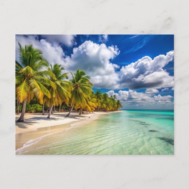 Carte Postale Palmiers sur la plage de Isla Saona Don (Devant)
