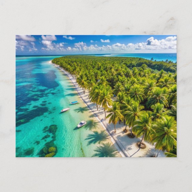 Carte Postale Palmiers sur la plage d'Isla Saona (Devant)