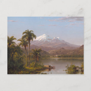 Carte Postale Palmiers Tamaca le long de la rivière Magdalena en