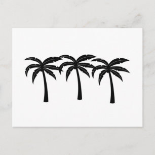 Carte Postale Palmiers tropicaux