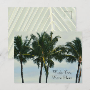 Carte Postale Palmiers tropicaux de Kauai Hawaii