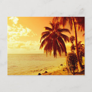 Carte Postale Palmiers tropicaux sur une plage au coucher du sol