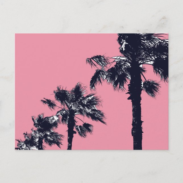 Carte Postale Palmiers Vintage (Devant)