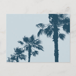 Carte Postale Palmiers vintages