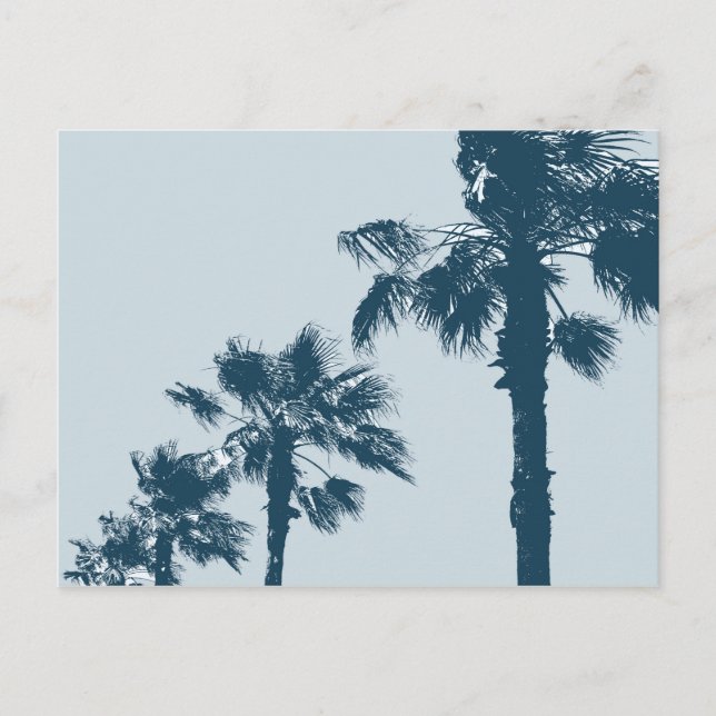 Carte Postale Palmiers vintages (Devant)