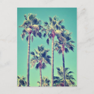 Carte Postale Palmiers Vintages tropicaux