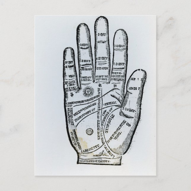 Carte Postale Palmisme (Devant)