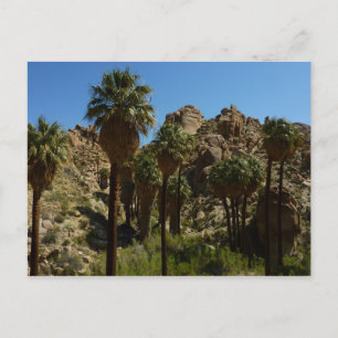 Carte Postale Palms perdus Oasis I au parc national de Joshua Tr