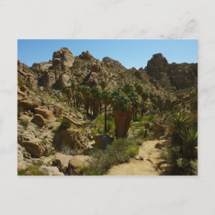 Carte Postale Palms perdus Oasis II au parc national de Joshua T