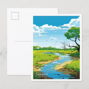 Carte Postale Palo Verde Costa Rica Voyage illustration Vintage