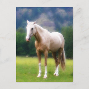 Carte Postale Palomino Dream Horse