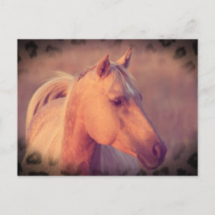 Carte Postale Palomino Horse