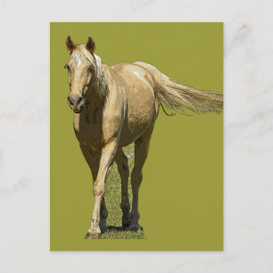 Carte Postale Palomino Horse