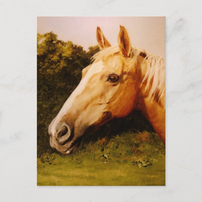 Carte Postale Palomino Horse Art (Devant)