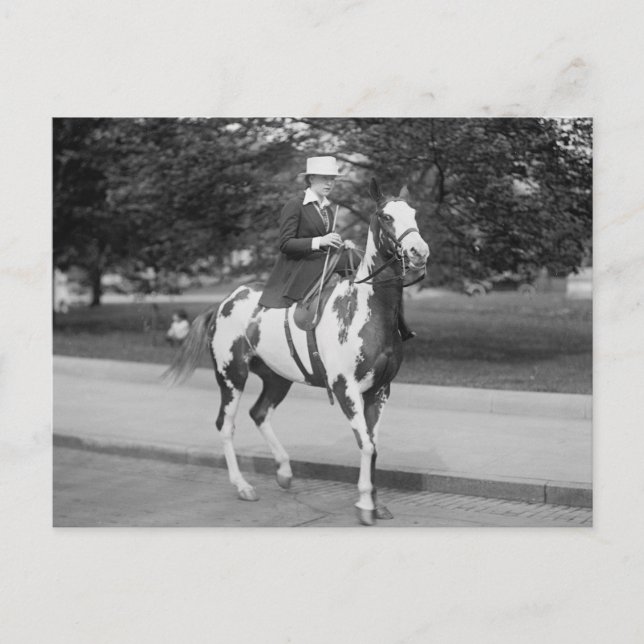 Carte Postale Palomino Pony, 1915 (Devant)