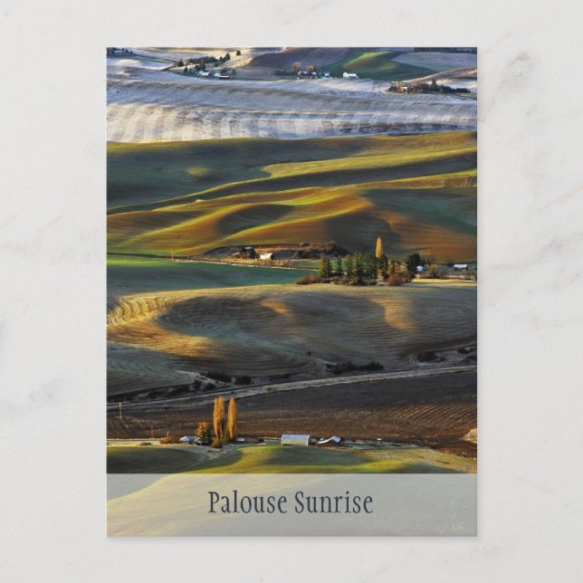 Carte Postale Palouse Sunrise (Devant)