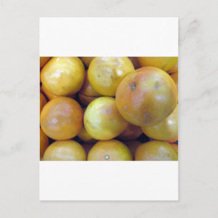 Carte Postale Pamplemousse rose