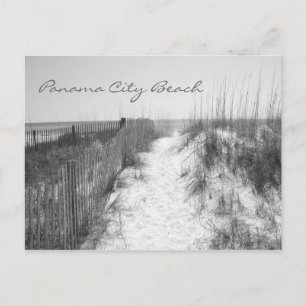 Carte Postale Panama City Beach Access Noir & Blanc