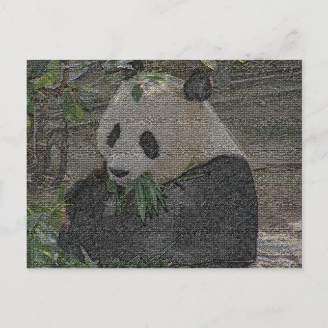 CARTE POSTALE PANDA (Devant)