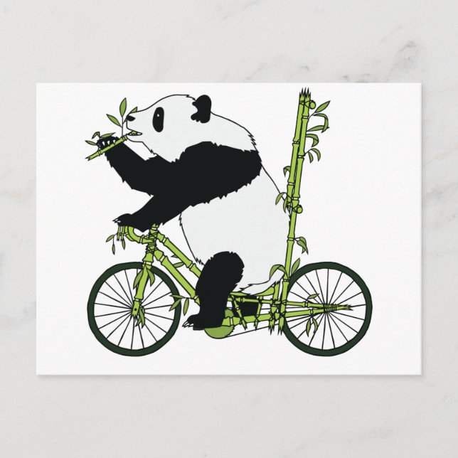 Carte Postale Panda Bear équitation Bamboo Vélo (Devant)