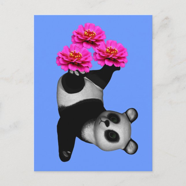Carte Postale Panda Bear Et Rose Zinnia (Devant)