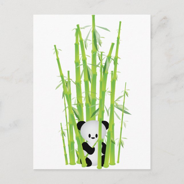 Carte Postale Panda bébé dans la forêt de Bambou (Devant)