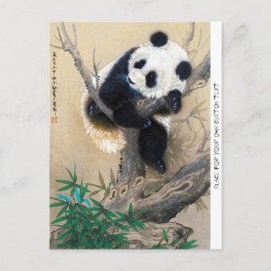 Carte Postale panda cool chine mignonne douce et moelleuse