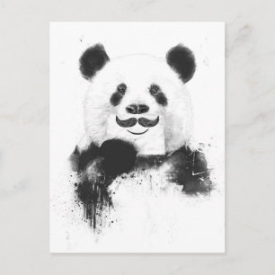 Carte Postale Panda drôle